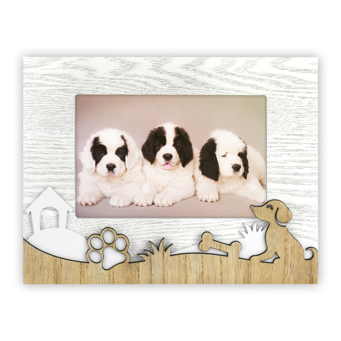 Cornici Cane 10x15