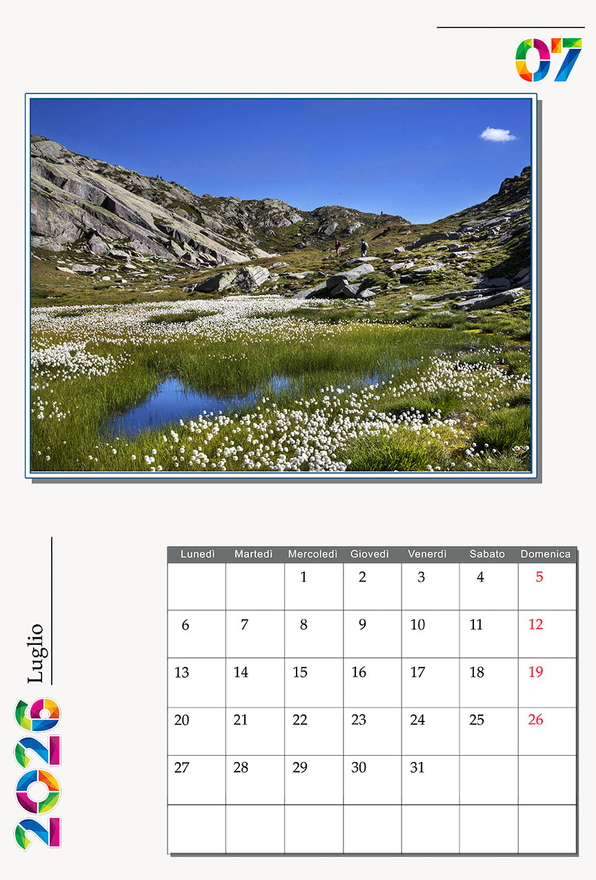 Calendari 12 mesi 20x30