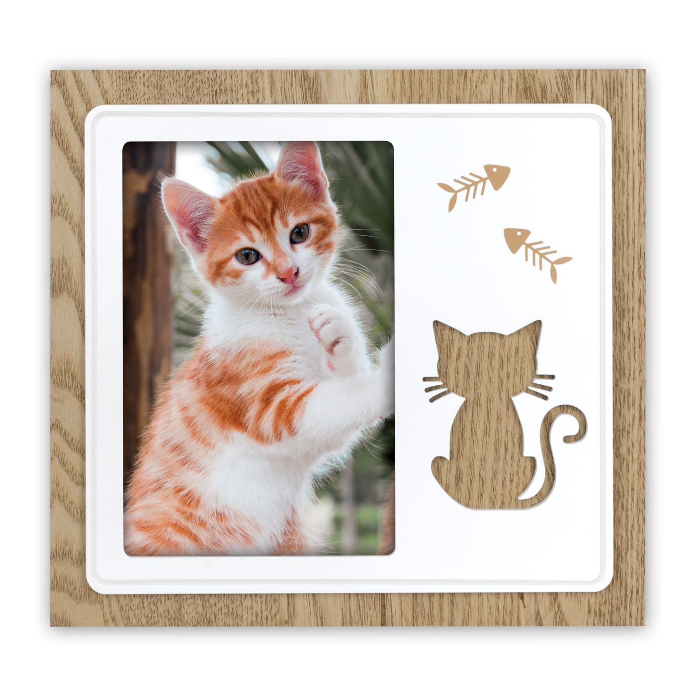 Cornici Gatto 10x15