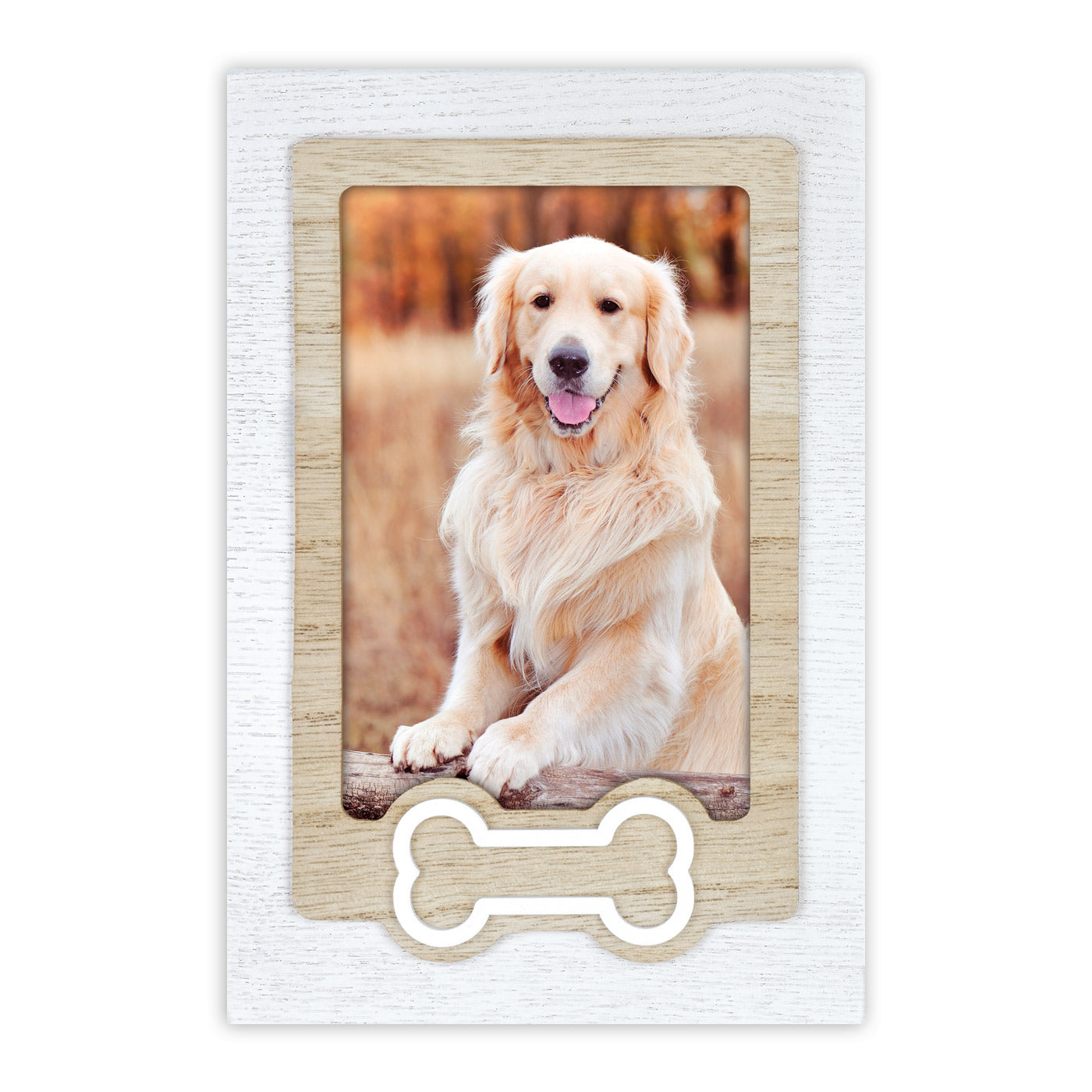Cornici Cane 10x15