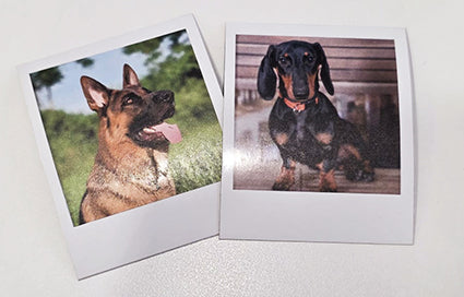 Calamita Polaroid 6x8 cm